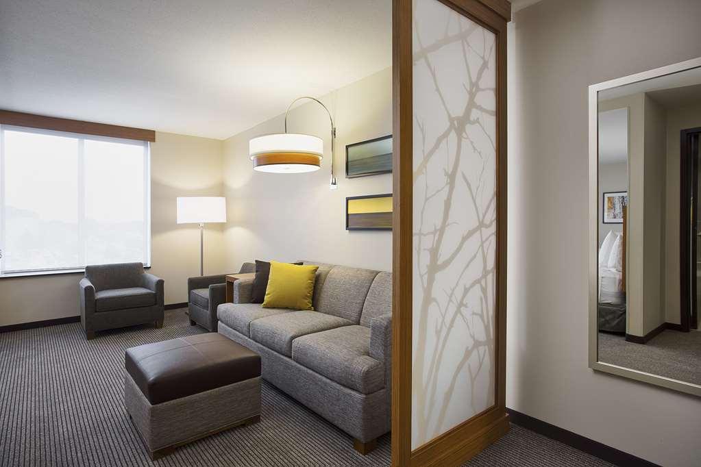 Hyatt Place Chicago Midway Airport Bedford Park Rom bilde