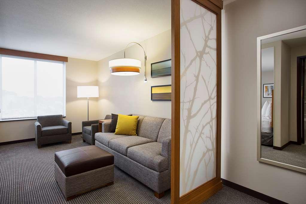 Hyatt Place Chicago Midway Airport Bedford Park Rom bilde